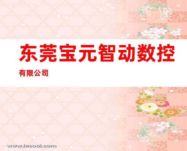 东莞宝元智动数控有限公司