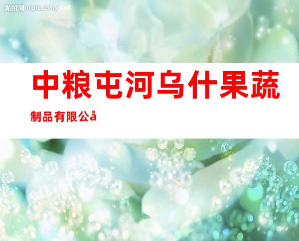 中粮屯河乌什果蔬制品有限公司