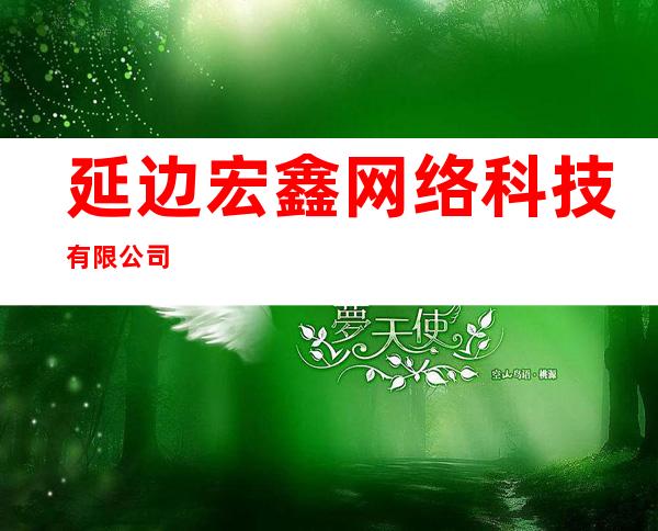 延边宏鑫网络科技有限公司